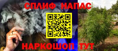 дмт Обь