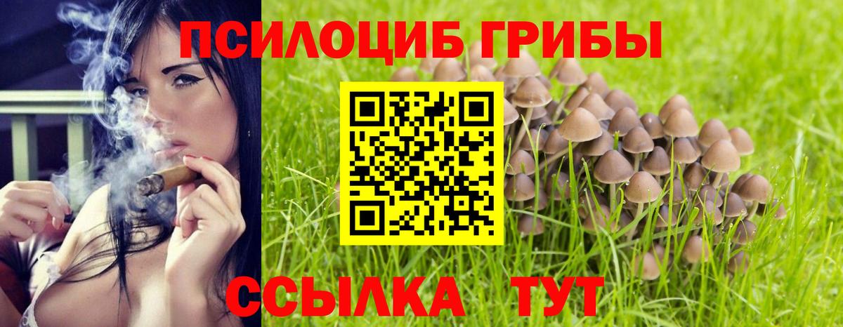 Галлюциногенные грибы прущие грибы Пыть-Ях